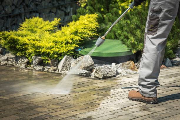 Animal Enclosure Cleaning in Tehachapi, CA